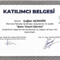Resmi büyüt: certificate 6