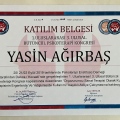 Resmi büyüt: certificate 19