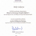 Resmi büyüt: certificate 2