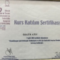 Resmi büyüt: certificate 1