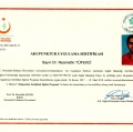 Resmi büyüt: certificate 8