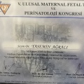 Resmi büyüt: certificate 5