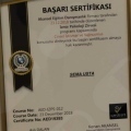 Resmi büyüt: certificate 8