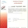 Resmi büyüt: certificate 62