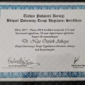 Resmi büyüt: certificate 1