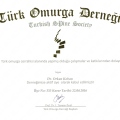 Resmi büyüt: certificate 4