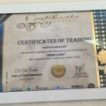 Resmi büyüt: certificate 3