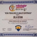 Resmi büyüt: certificate 15