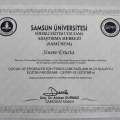 Resmi büyüt: certificate 13