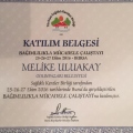 Resmi büyüt: certificate 9