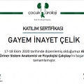 Resmi büyüt: certificate 7