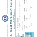 Resmi büyüt: certificate 25