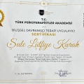 Resmi büyüt: certificate 27