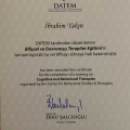 Resmi büyüt: certificate 4