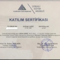 Resmi büyüt: certificate 8