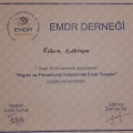 Resmi büyüt: certificate 9
