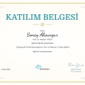 Resmi büyüt: certificate 13