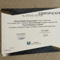 Resmi büyüt: certificate 6