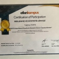 Resmi büyüt: certificate 5