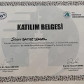 Resmi büyüt: certificate 6