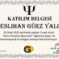 Resmi büyüt: certificate 14