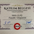 Resmi büyüt: certificate 35
