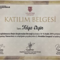 Resmi büyüt: certificate 6