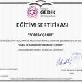 Resmi büyüt: certificate 7
