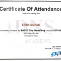 Resmi büyüt: certificate 4
