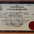 Resmi büyüt: certificate 1