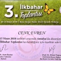 Resmi büyüt: certificate 13