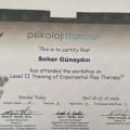 Resmi büyüt: certificate 1