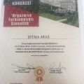 Resmi büyüt: certificate 4