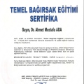 Resmi büyüt: certificate 11