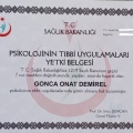 Resmi büyüt: certificate 2