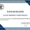 Resmi büyüt: certificate 10