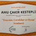 Resmi büyüt: certificate 1