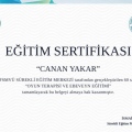 Resmi büyüt: certificate 4