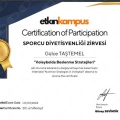 Resmi büyüt: certificate 1