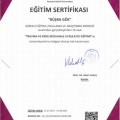 Resmi büyüt: certificate 2
