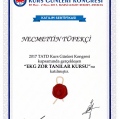 Resmi büyüt: certificate 24