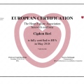 Resmi büyüt: certificate 2