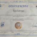Resmi büyüt: certificate 2