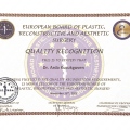 Resmi büyüt: certificate 1
