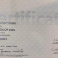 Resmi büyüt: certificate 3