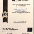 Resmi büyüt: certificate 5