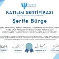Resmi büyüt: certificate 4
