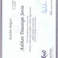 Resmi büyüt: certificate 13