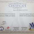 Resmi büyüt: certificate 10