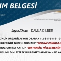 Resmi büyüt: certificate 47